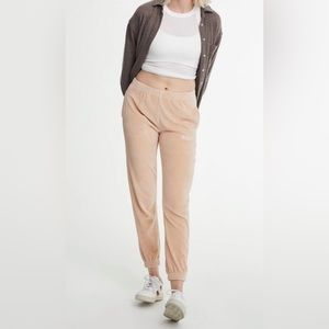 WSLY Velour jogger-never worn